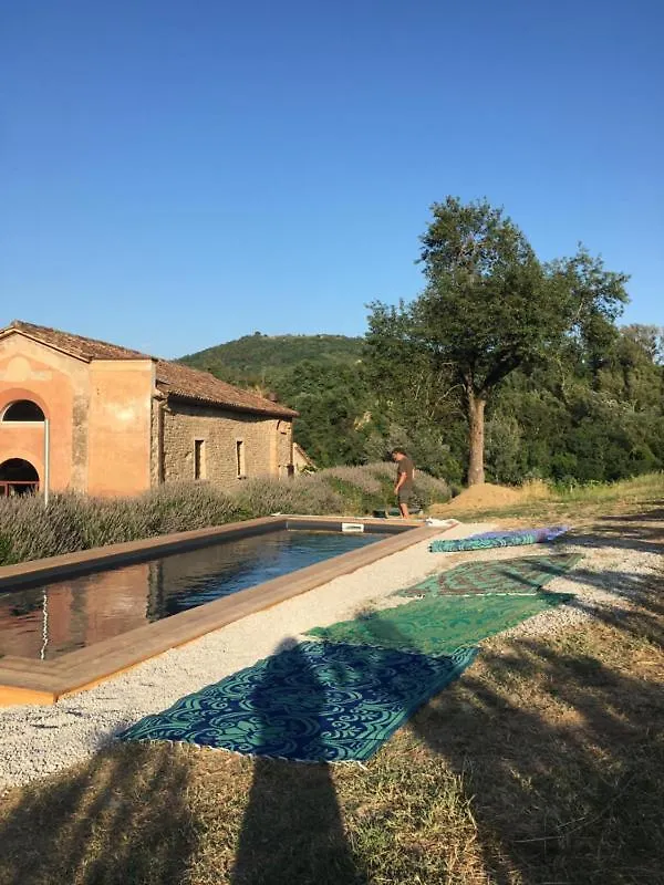 Bed & Breakfast Azienda Agricola Baccagnano Brisighella